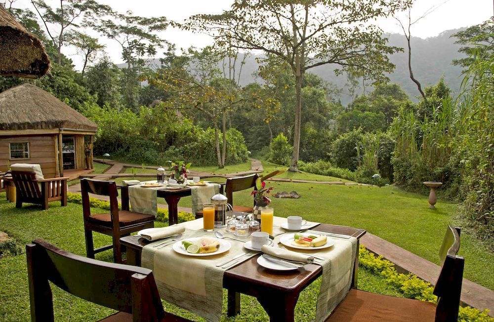 Sanctuary Gorilla Forest Camp Hotel Ntungamo  ภายนอก รูปภาพ