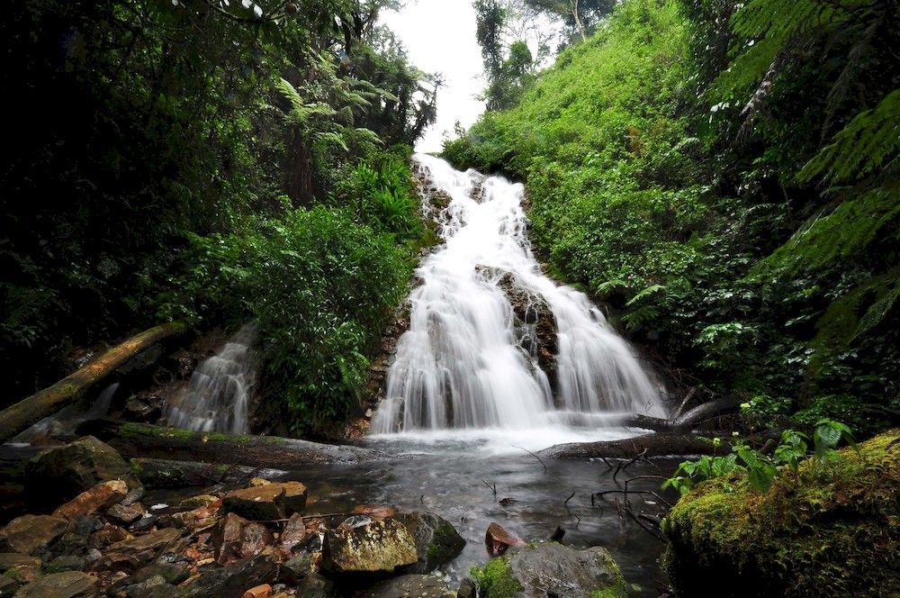 Sanctuary Gorilla Forest Camp Hotel Ntungamo  ภายนอก รูปภาพ