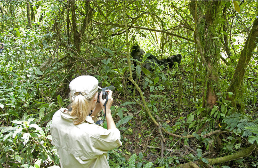 Sanctuary Gorilla Forest Camp Hotel Ntungamo  ภายนอก รูปภาพ